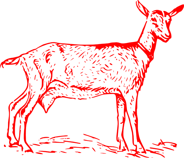Red Goat Outline Clip Art - Red Goat Png (600x515), Png Download