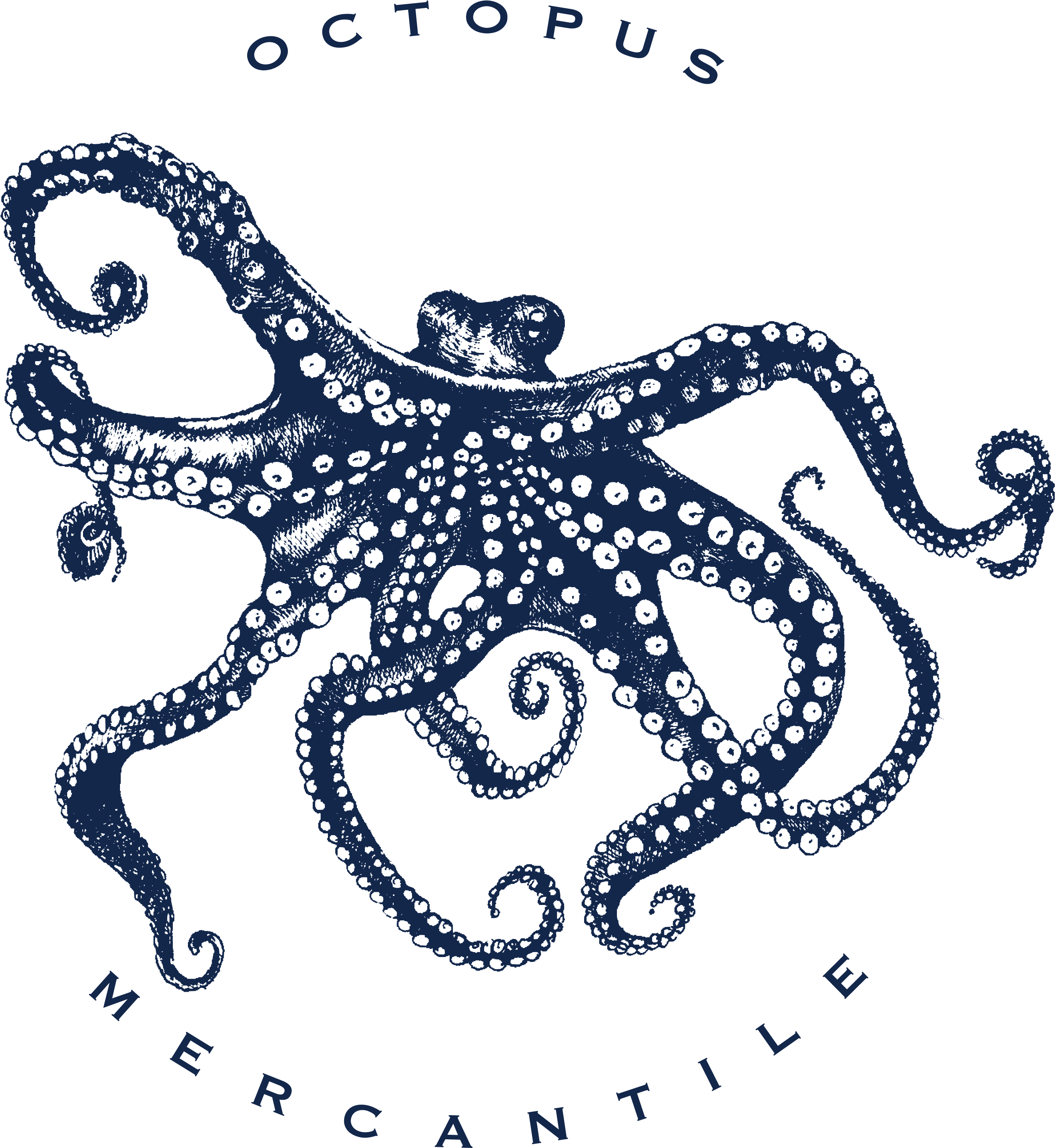 Octopus On Transparent Logo - Emoji (3749x3824), Png Download