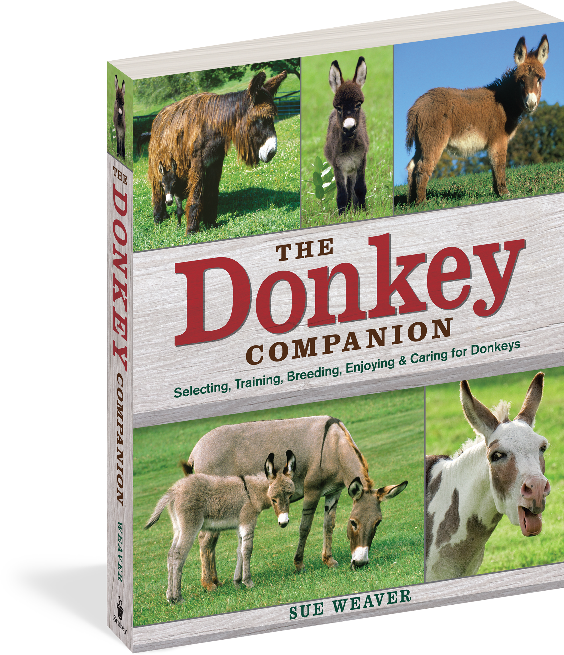 The Donkey Companion - Donkey Companion: Selecting, Training, Breeding, Enjoying (2100x2400), Png Download