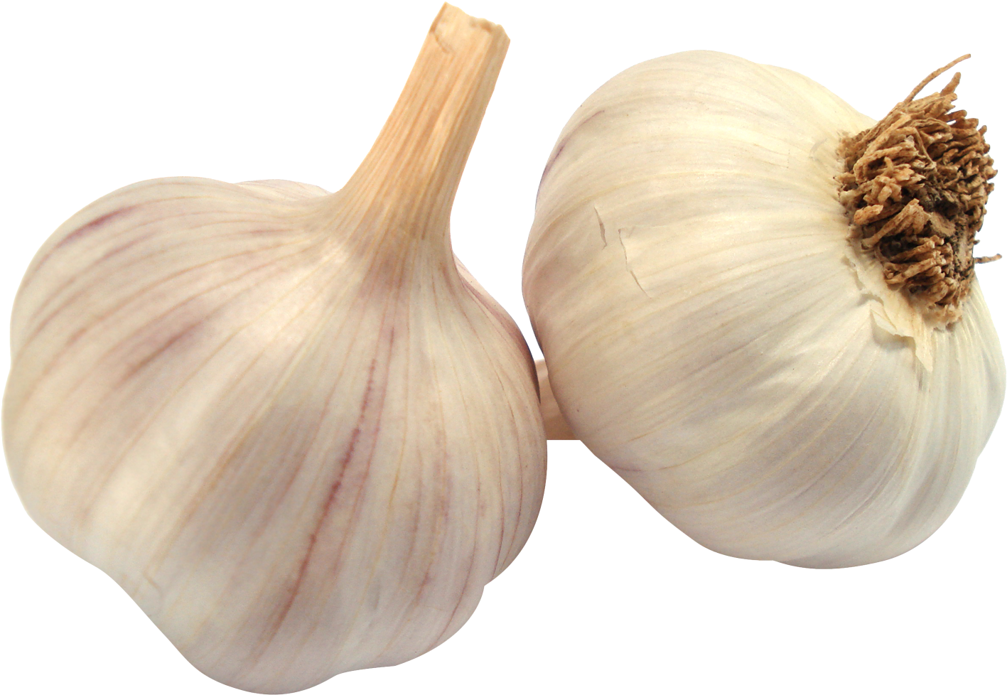 Garlic Png (1624x1199), Png Download