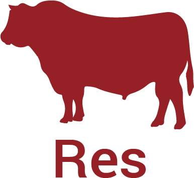 Carnes Castillo Productos - Cattle (770x670), Png Download