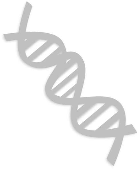 How To Set Use Dna Svg Vector (486x593), Png Download