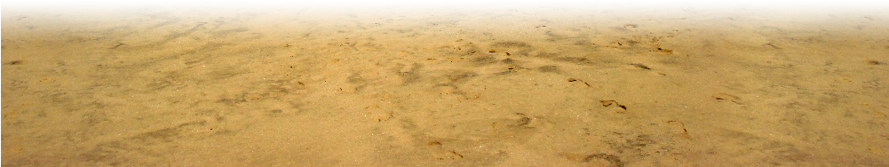 Acta Means Sea Beach - Png Beach (1000x202), Png Download