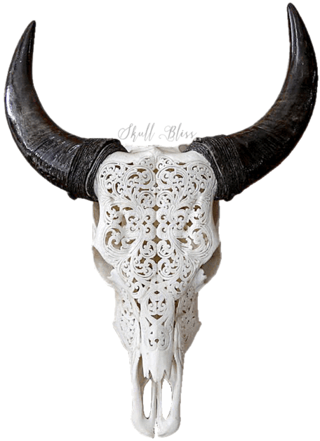 Carved Cow Skull // Xl Horns - Skull Of A Bull Black And White (430x430), Png Download