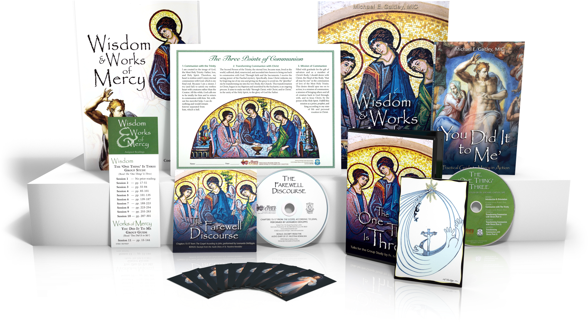 This Coordinator Kit Comes With Everything Needed To - You Did It To Me By Fr Michael E Gaitley (1980x1134), Png Download