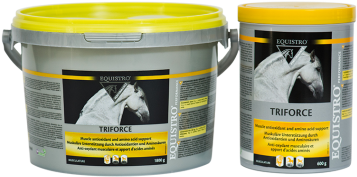 Equistro® Triforce - Equistro Triforce Pot 600 G (380x360), Png Download