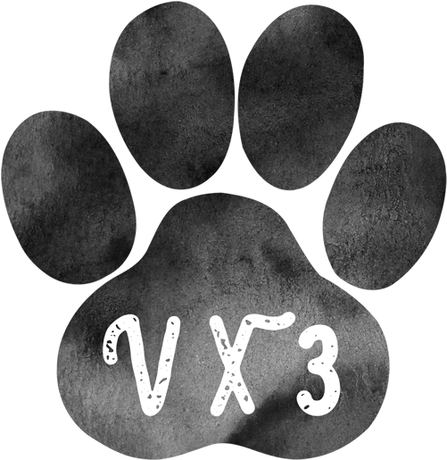 Etsy Update - Double Paw Rectangle Magnet (600x600), Png Download
