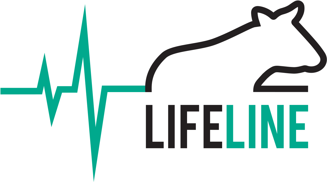 Logo - October Offline (1492x798), Png Download