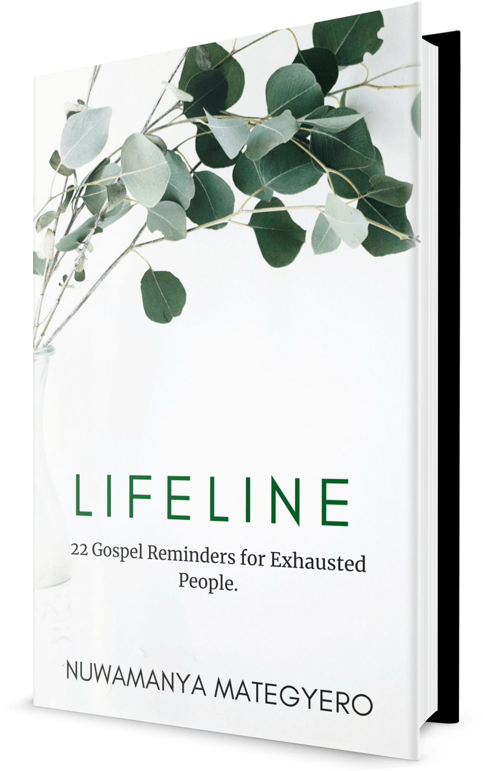 Lifeline Devotional - Bach & Vivaldi For Mandolin (1300x1700), Png Download