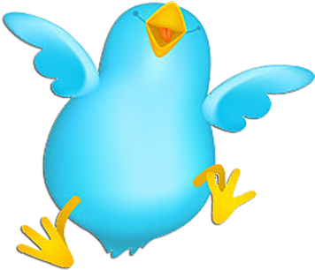 Early Bird Discount - Twitter Icons (360x360), Png Download