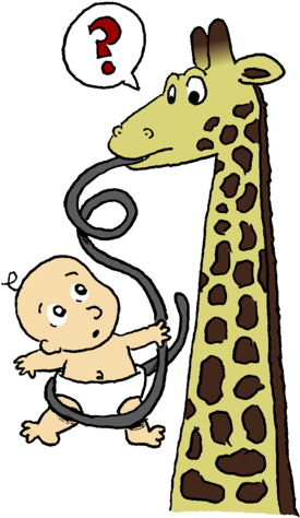 A Giraffe Sticks Out A Very, Very Long Tongue, Which - Cartoon Giraffe Tongue (319x500), Png Download