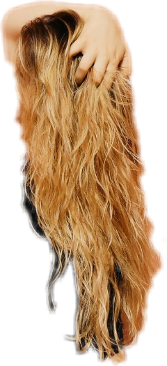 Hairs Woman Blonde Hand Freetoedit - Blond (240x525), Png Download