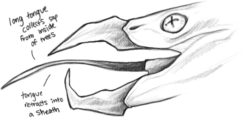 Long Tongue Png (1000x618), Png Download