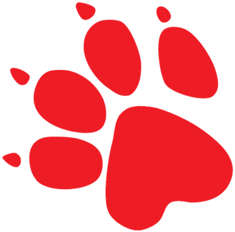 Photo - Logo De Naughty Dog (530x534), Png Download