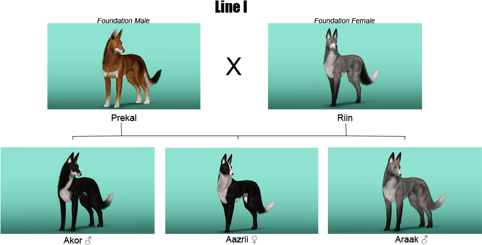 Well, Here Are The Parental Generations - Sims 4 Hunde Züchten (1000x500), Png Download