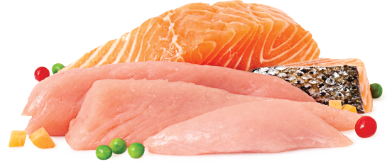 A Selection Of The Raw Ingredients - Raw Chicken & Salmon (552x231), Png Download