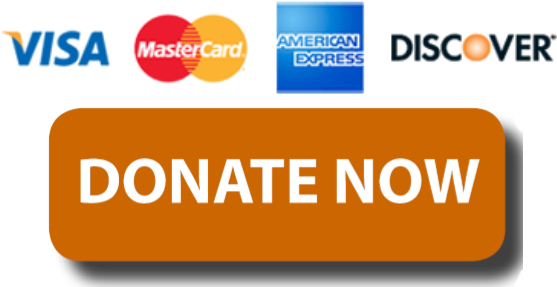 We Also Purchase Reclaimed Groceries When Our Warehouse - Visa Mastercard Discover Amex Logo (582x292), Png Download