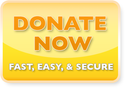 Donate Button - Orange (448x317), Png Download