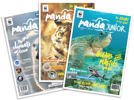 Mags - Magazine (500x352), Png Download