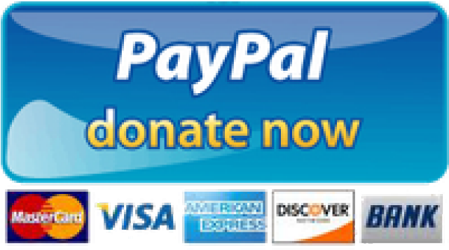 Download Paypal Donate Button - Full Size PNG Image - PNGkit