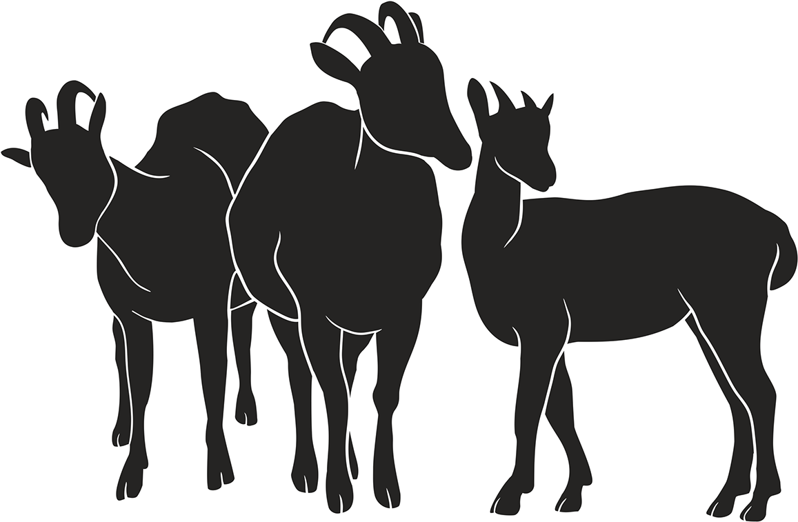Goat (1200x788), Png Download