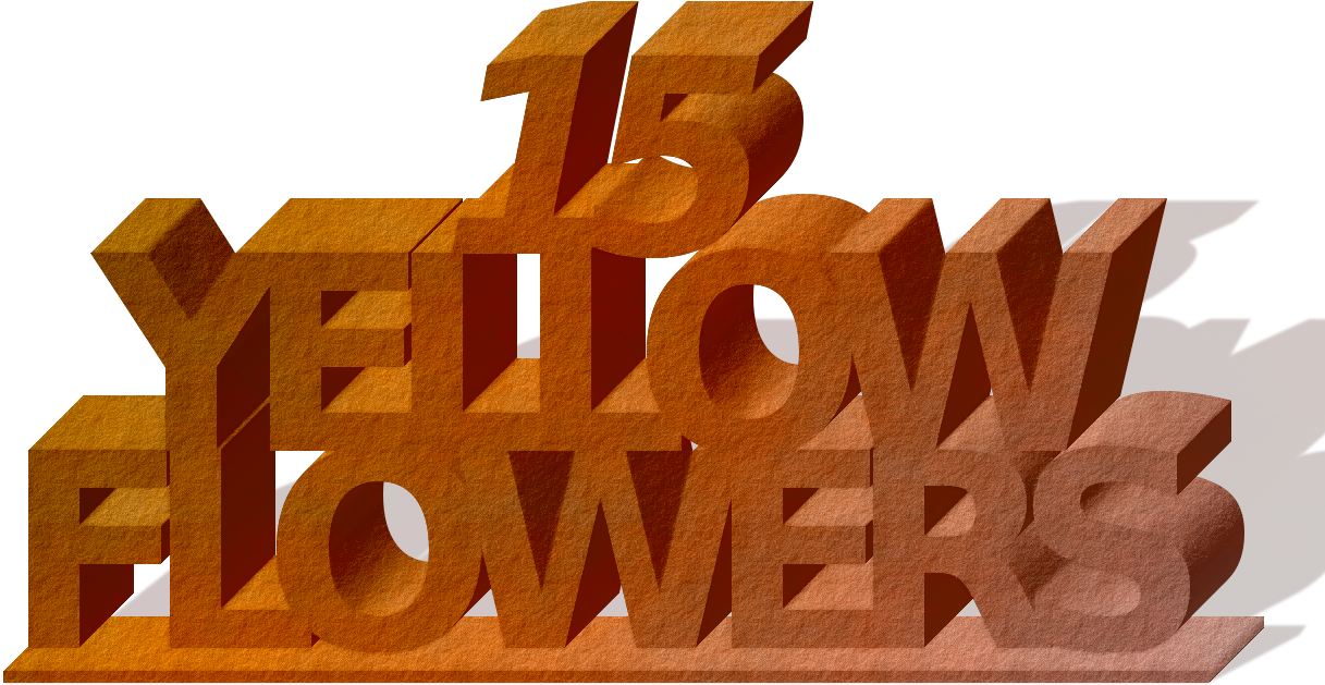 I Have Taken Some Images Of The Flowers Growing In - Graphic Design (1244x696), Png Download