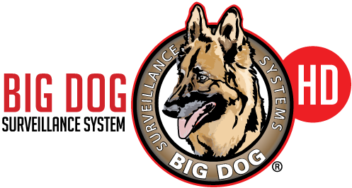Big Dog Hd Surveillance Systems For The Restaurant - Rhythm Masters I Feel Love (497x266), Png Download