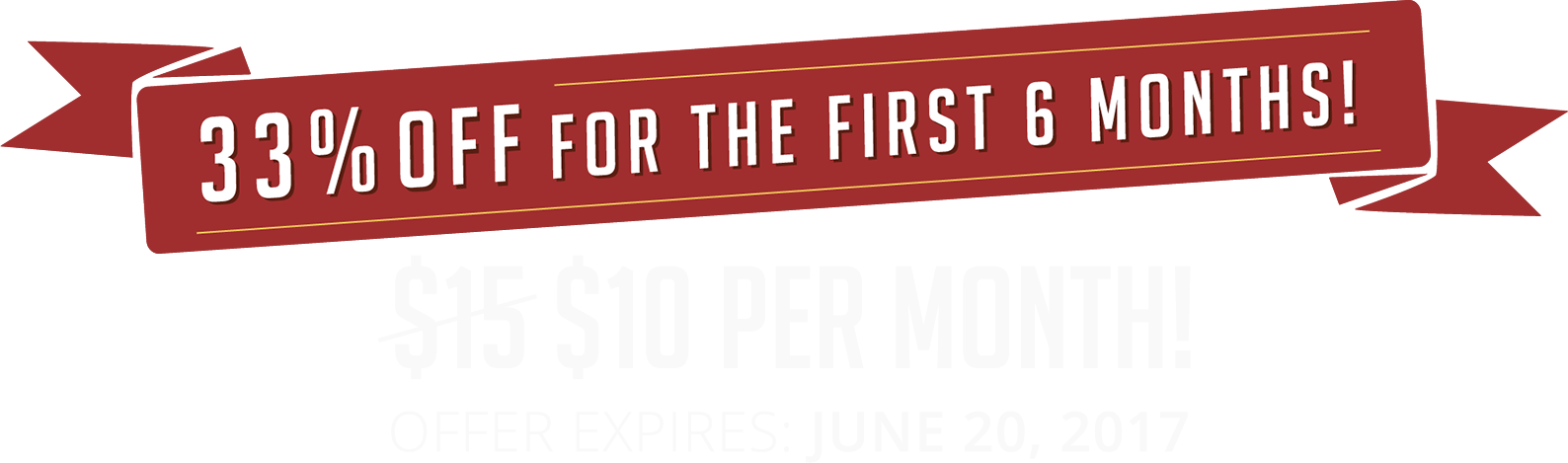 $10 Per Month - Banner 480x60 (1588x469), Png Download