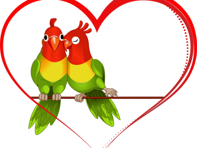 Love Birds Transparent Background (640x480), Png Download