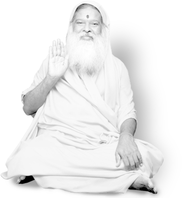 Our Pinnacle, Our Inspiration - Reflections Of The Absolute: The Life Of Sri Ganapathy (370x400), Png Download