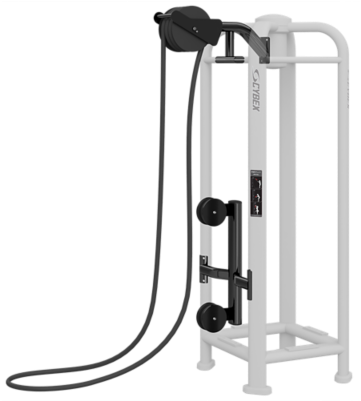 Download Physical Fitness Clipart Cybex International - Physical Fitness (400x400), Png Download