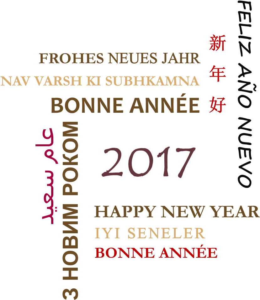 Happy New Year 2017 - Twins 1st Birthday, Twins Born December 31 2016 And (874x968), Png Download