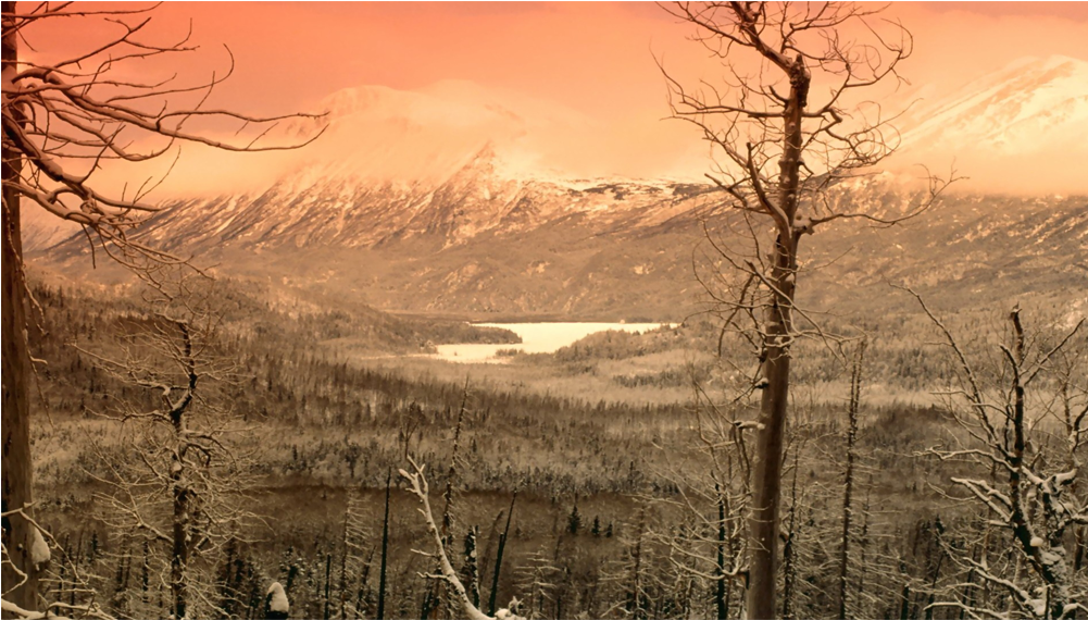 Score 50% (1000x1000), Png Download