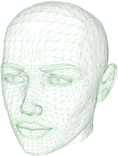 Human Head Face Forehead Drawing - Outline Of The Human Head (481x340), Png Download