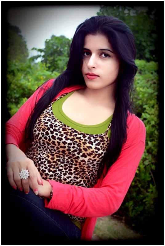 Blusas Femininas - Blusa De Oncinha - Usada (800x800), Png Download