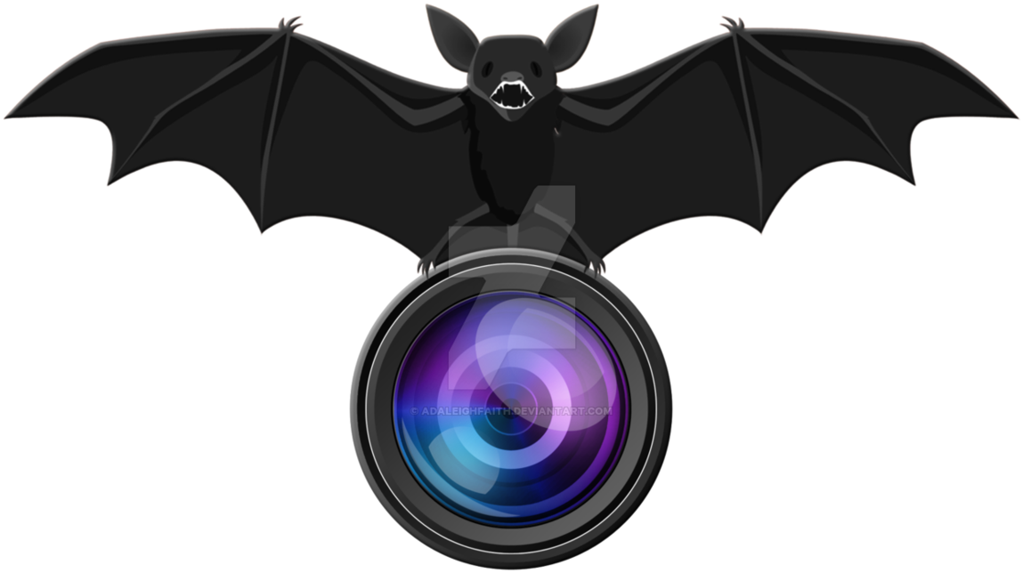 28 Collection Of Photography Logo Clipart Png High - Econoled Color Cmos Ccd Flush Mount Waterproof Truck (1182x675), Png Download