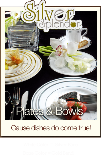 Silver Splendor Disposable Plates & Bowls - 375 Pieces Plastic China Plate Silverware Combo Like (339x529), Png Download