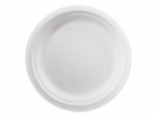 Enlarge - Plate (500x500), Png Download