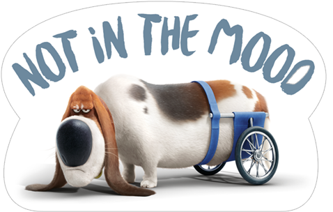 不在mooo - Secret Life Of Pets Dog With Wheels (490x317), Png Download