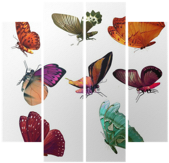 Wall (400x400), Png Download