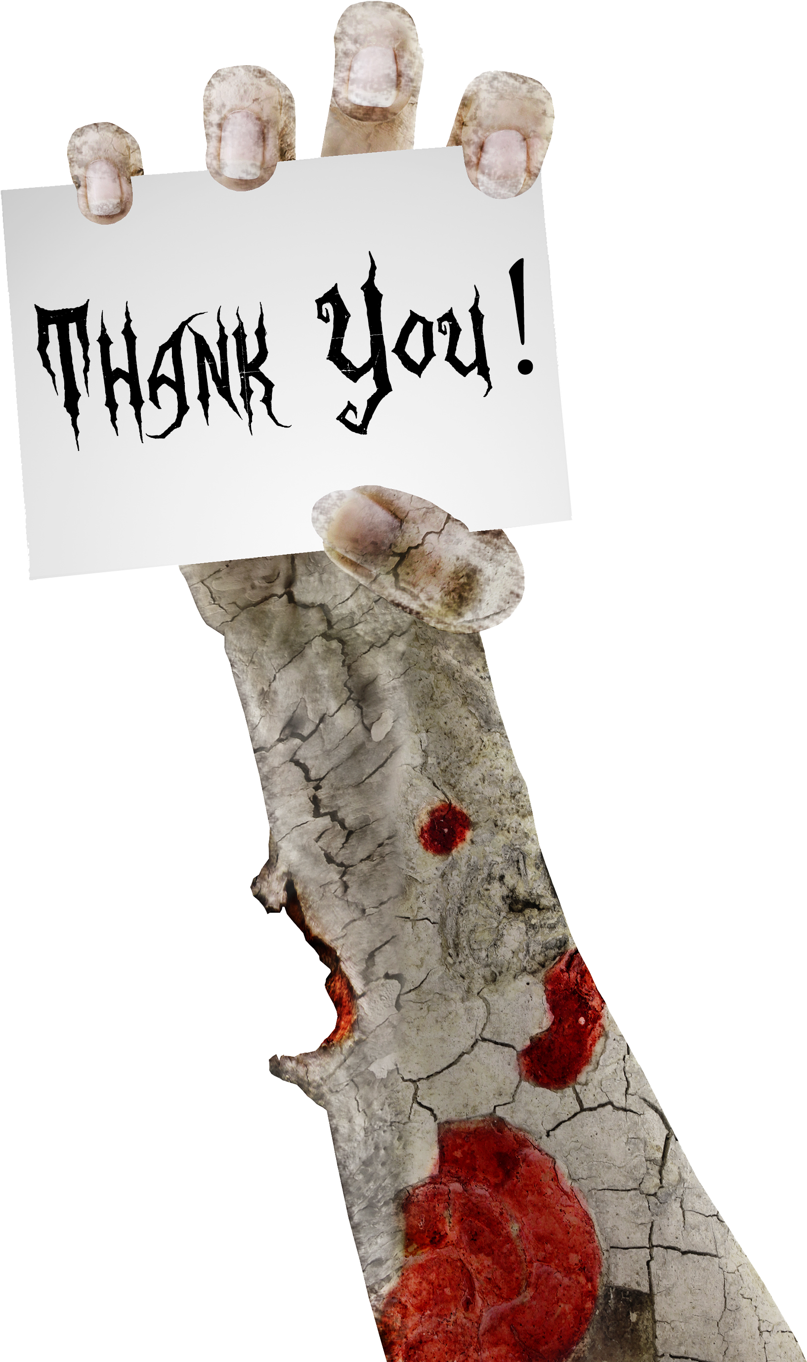 Alec Gillis Willie Fields Carol Hovsepian Carolina - Text (2103x3000), Png Download