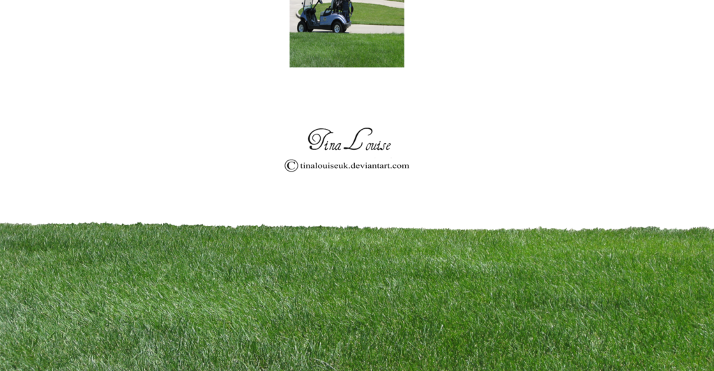 Adobe Illustrator Cs6, Free Stock Image, Grasses, Adobe - Lawn (1024x532), Png Download