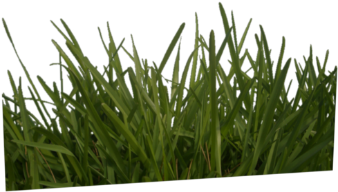These Are Used To Adjust The Image And To Create The - Masked 2d Grass Texture (640x480), Png Download