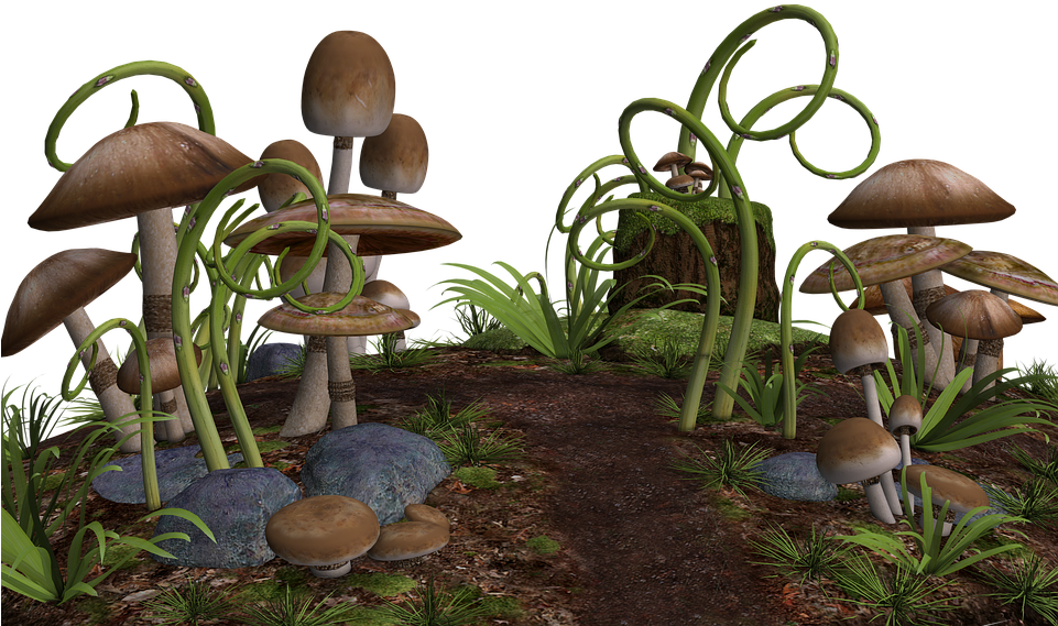 Mushrooms 3d (960x720), Png Download