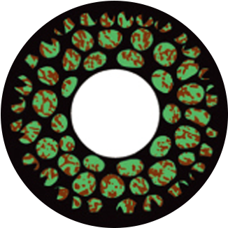 Home - Circle (600x600), Png Download