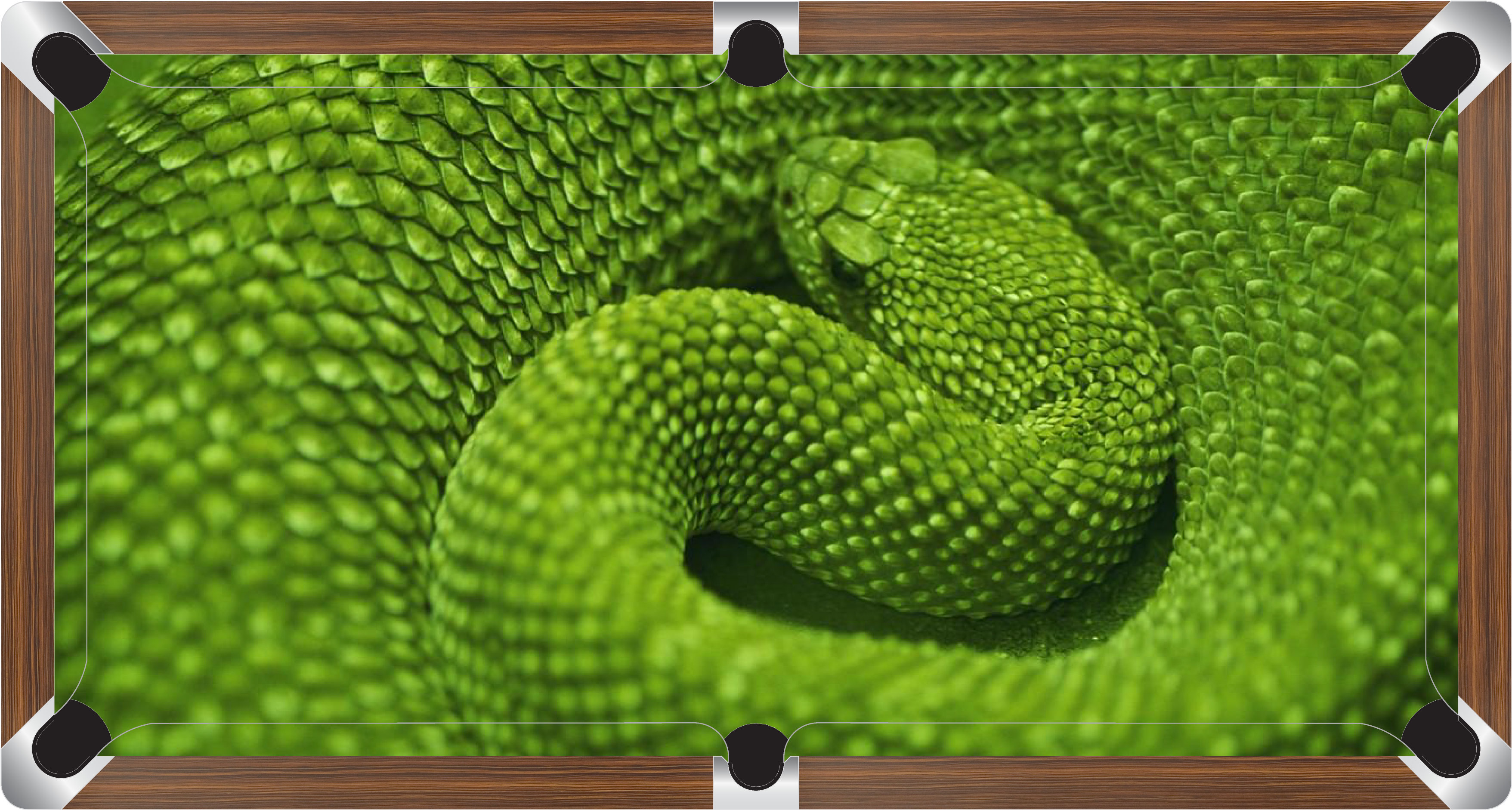 Green Snake Custom Made Printed Pool Snooker Billiard - Reptile Anatomy Books (3984x2354), Png Download