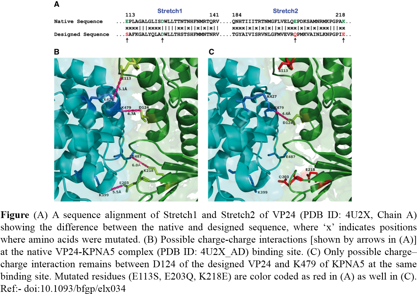 Therefore, We Proposed A Protein Interaction And Protein - Graphic Design (1396x977), Png Download
