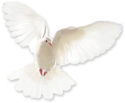 Edit Page Image File - Quiet Revolution: The First Palestinian Intifada A (470x403), Png Download