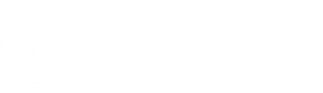 Beard Brush | Premium Quality Boar Bristle | The Best (1181x472), Png Download