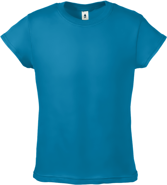 Dc 1300 Bu4 - Gildan 64000l Sapphire (600x900), Png Download